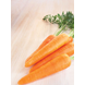 carrots_topweight_result.png (2)
