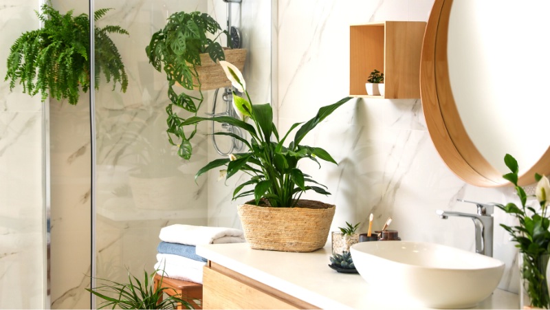 cream marble bathrooms with timber fixtures, peace lily in rattan pot, fern and monstera adonsonii in hangers in glass shower