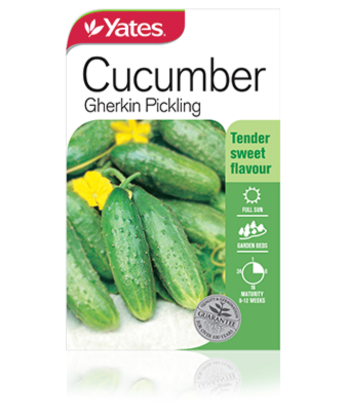 Cucumber Gherkin Pickling Garden Seeds Yates Australia