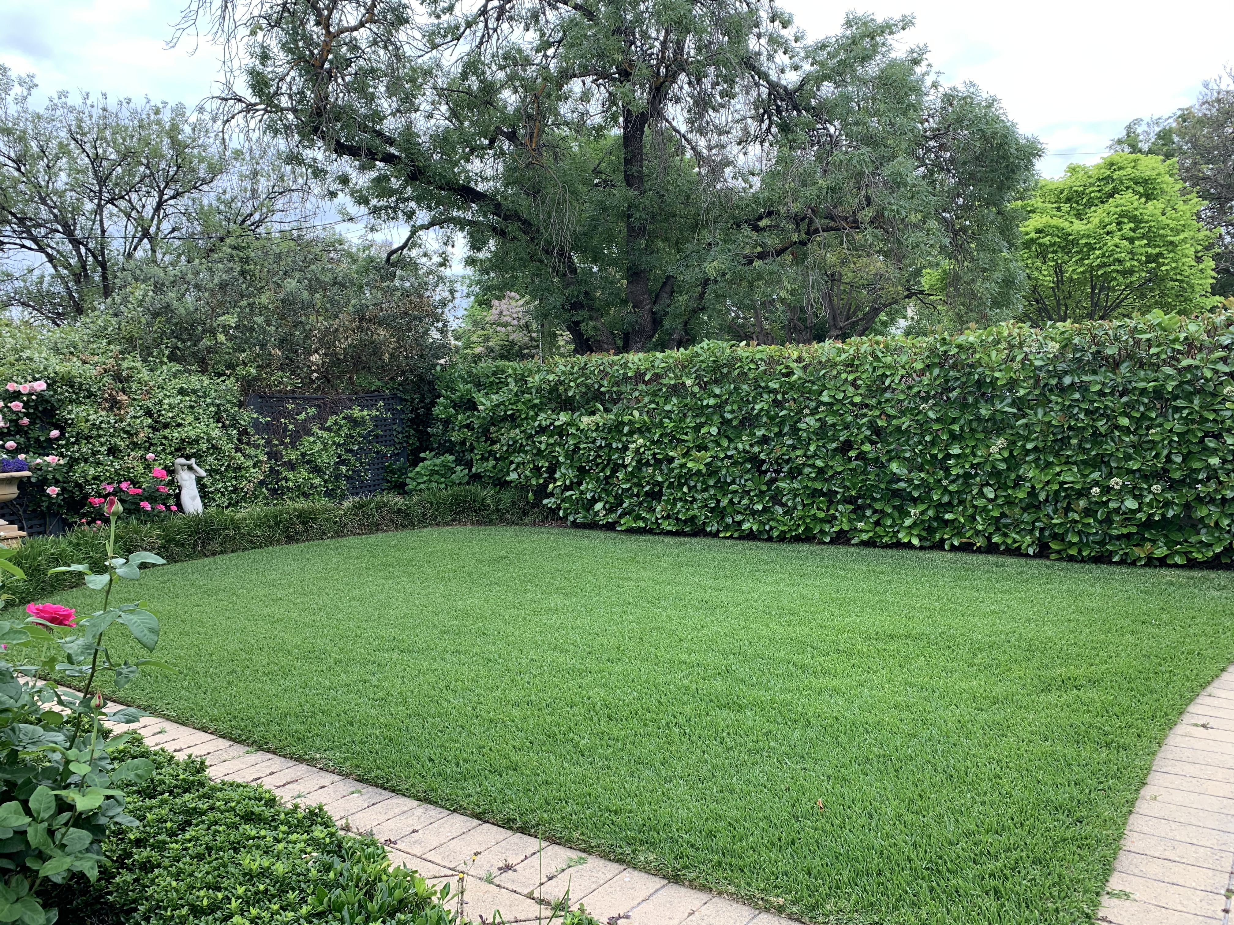 Join our Munns Lawn Community