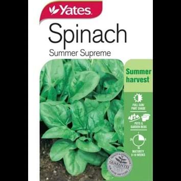 spinach-summer-supreme