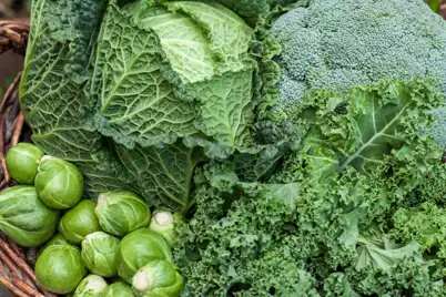 Vegetable