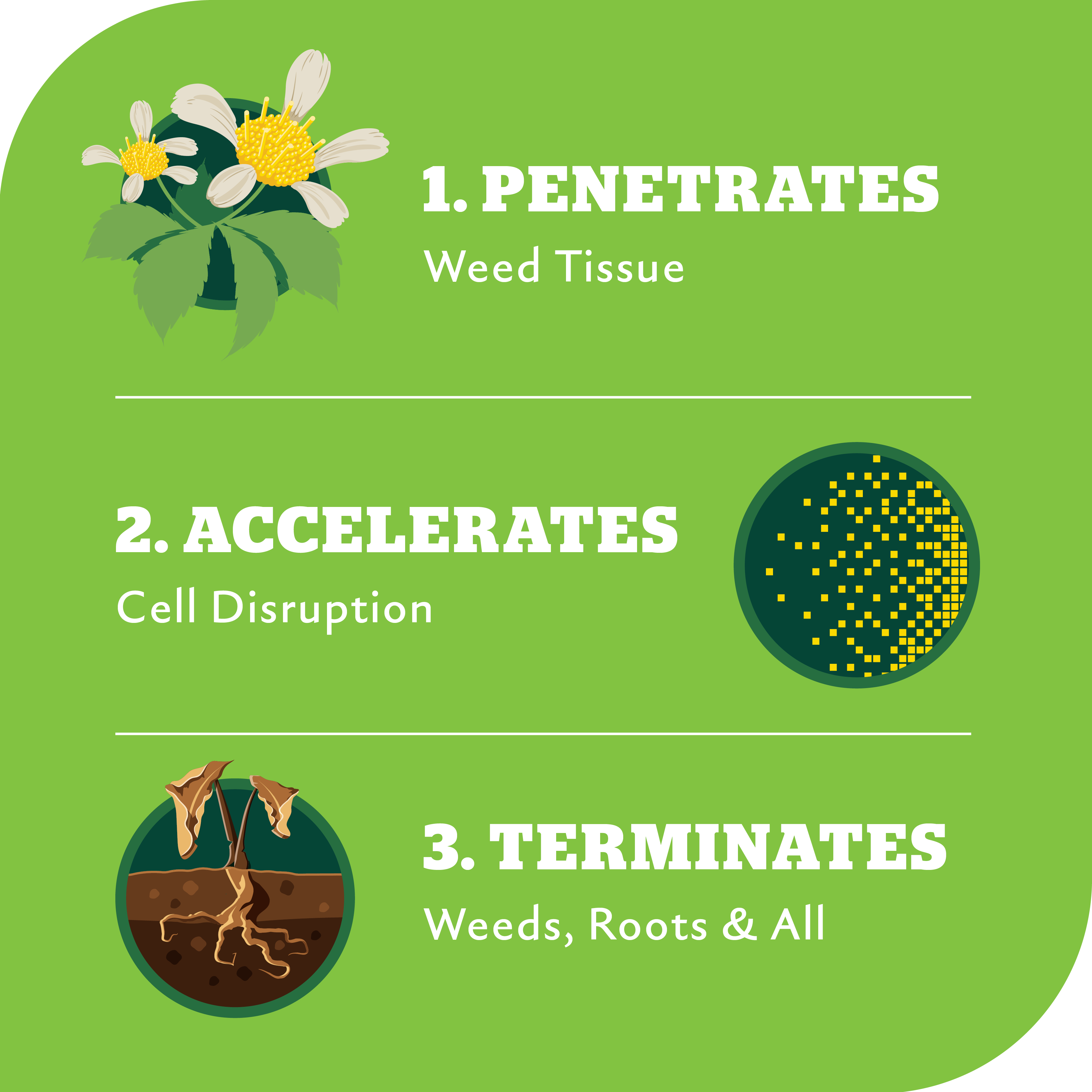 Yates 1L Zero Triple Strike Garden Weedkiller Concentrate