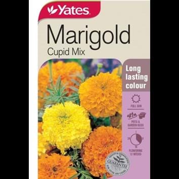 marigold-cupid-mix