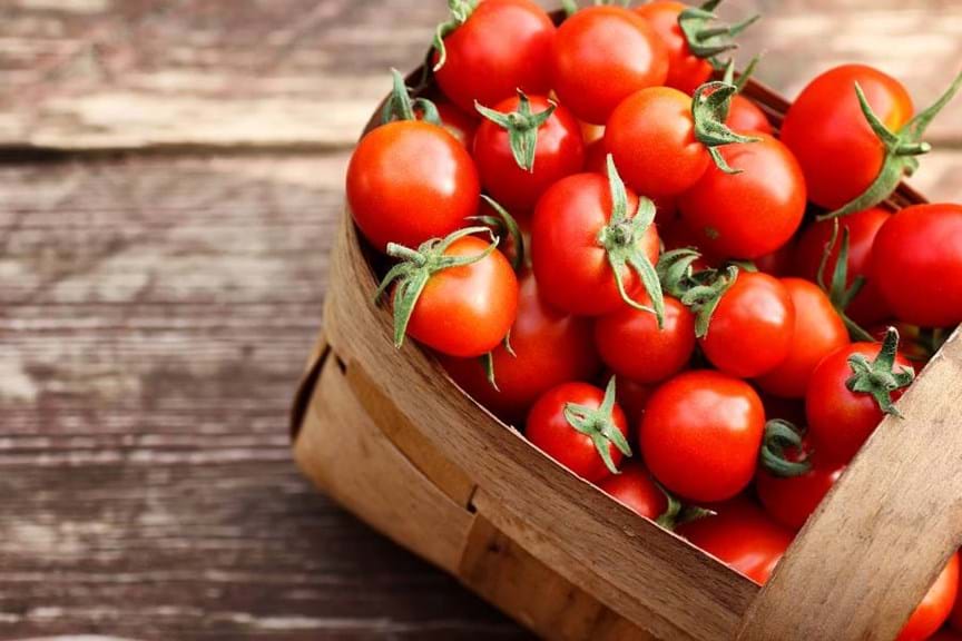 Is That Tomato Rotten Or Is It Safe to Eat?, Gardening Tips and How-To Garden Guides