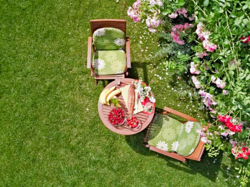 Spring lawn care tips