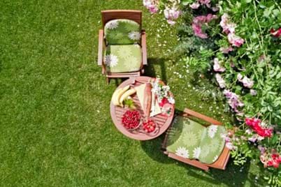 Spring lawn care tips