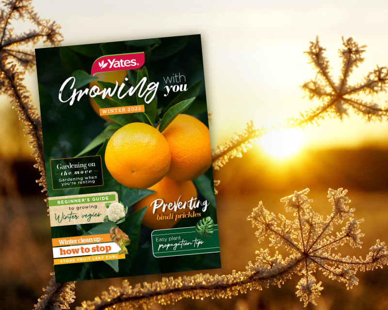 ‘Growing With You’ Winter — now available!