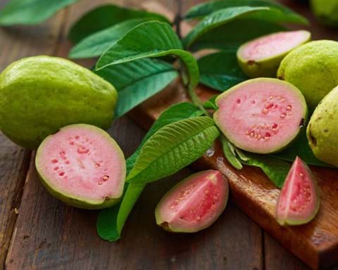 How to Grow Guava
