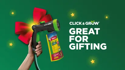 Great For Gifting This Christmas