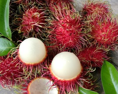 Image result for rambutan picture