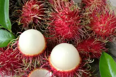 Rambutan