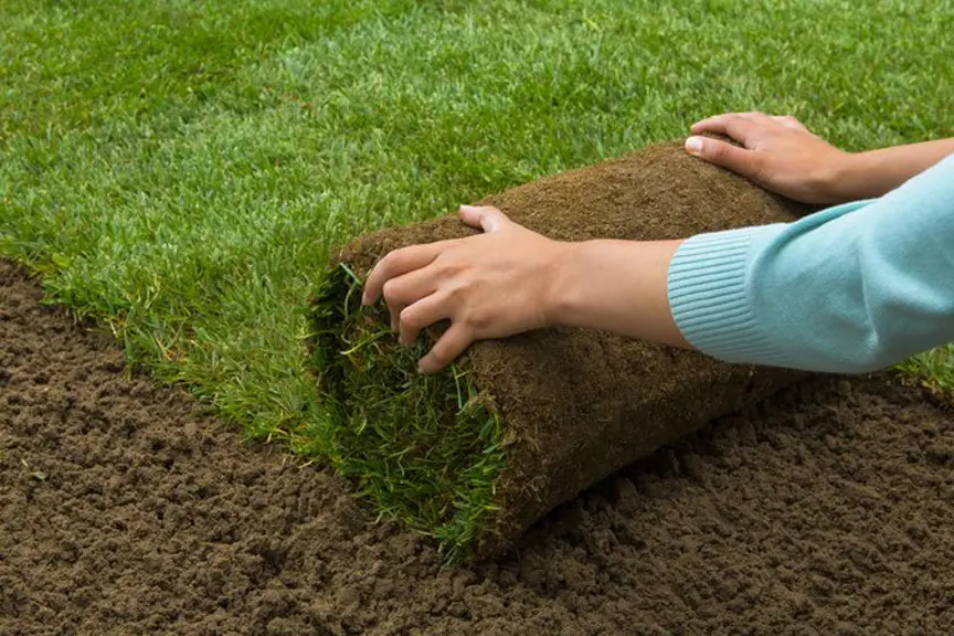 How to Lay Turf to Create an Instant Lawn | Yates