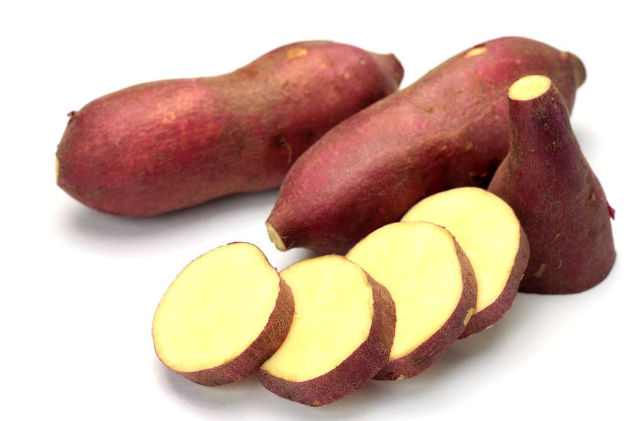 Northern Star sweet potato