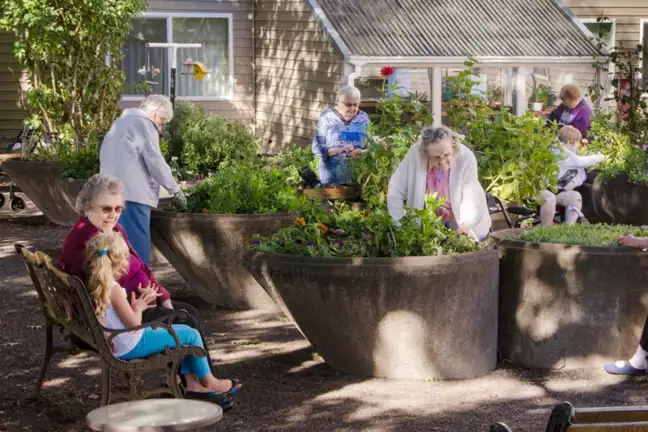 7 steps to start a community garden 3