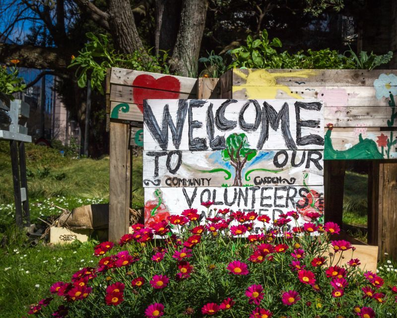 7 steps to start a community garden 2