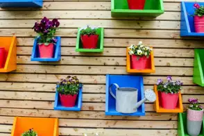 beginners guide to small space gardens 2