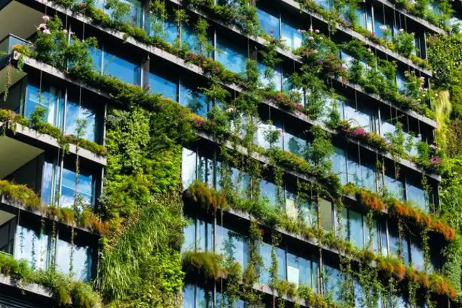 beginners guide to small space gardens 3