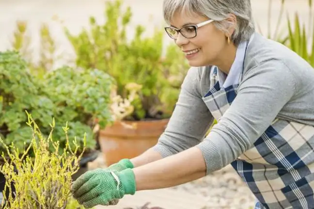 choosing the right potting mix 2