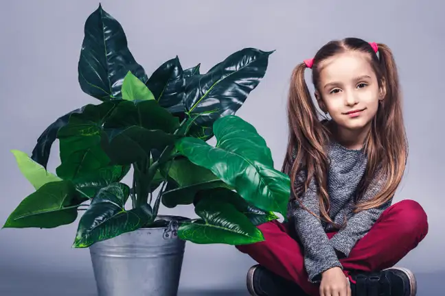 container gardening for kids 1