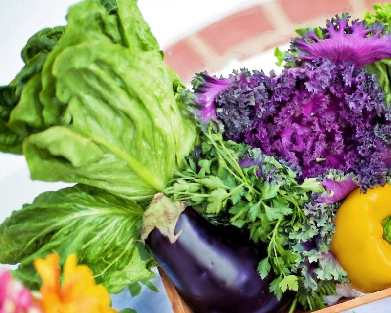 create a magical kids garden 3