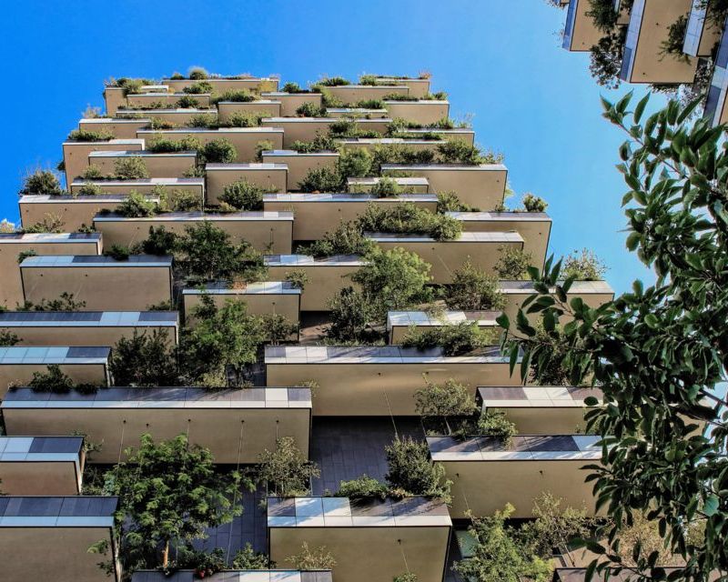 essential tool kit for balcony gardeners 3