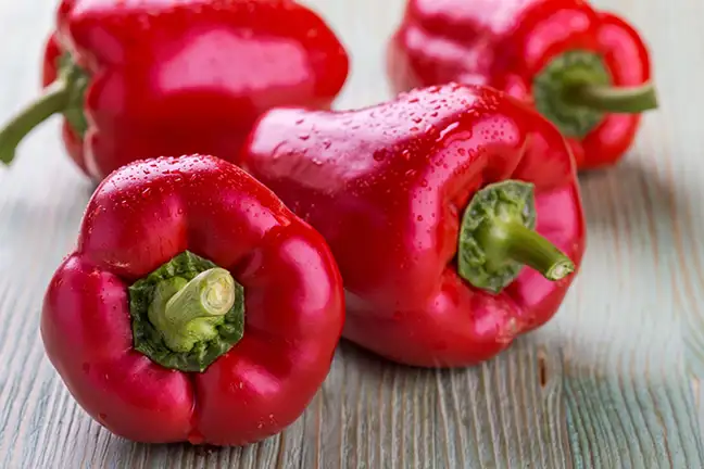 growing capsicums and chillies 2