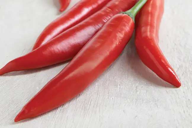 growing capsicums and chillies 1