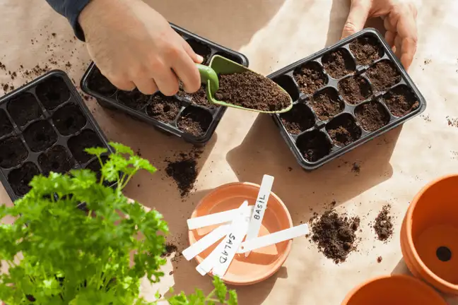 growing with kids 101 1