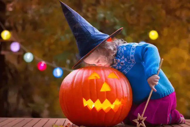 halloween gardening 1