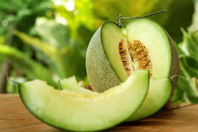 honeydew melon 1