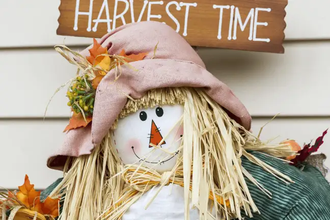 how to build a garden scarecrow 1
