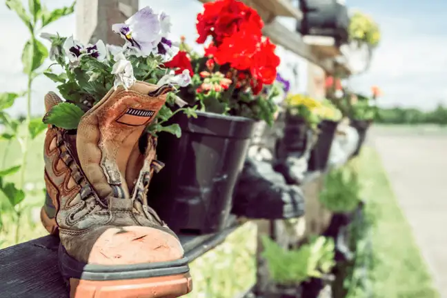 how to create a shoe garden 1