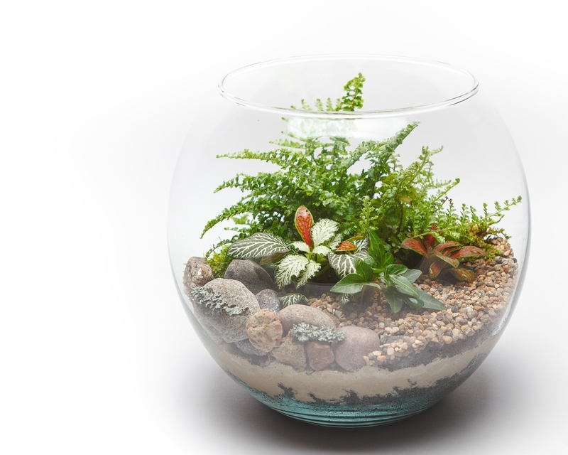 how to create a terrarium 3