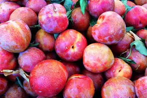 perfect plums 2