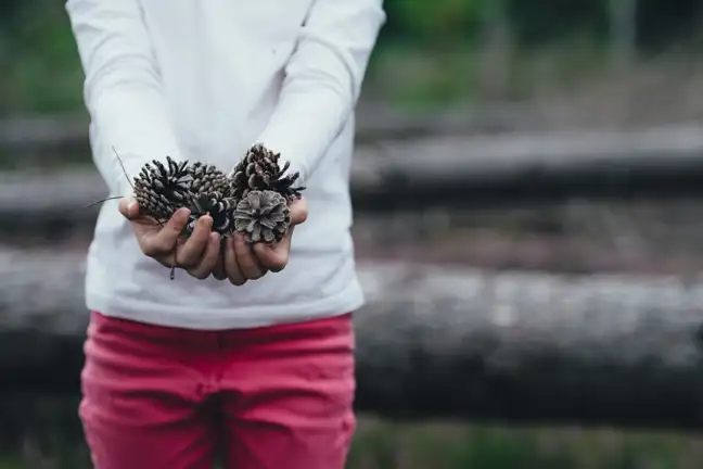 sensory gardening for kids 1