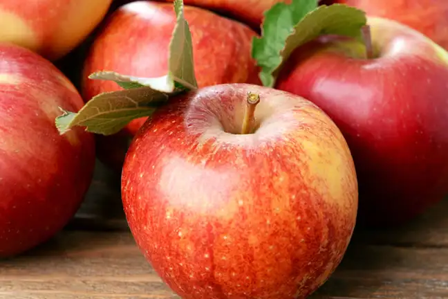 small space apples 1