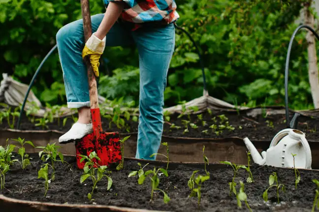 spring organic gardening 1