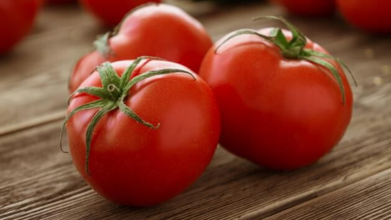 summer tomato pest disease control 1