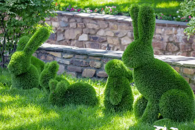 terrific topiary 1