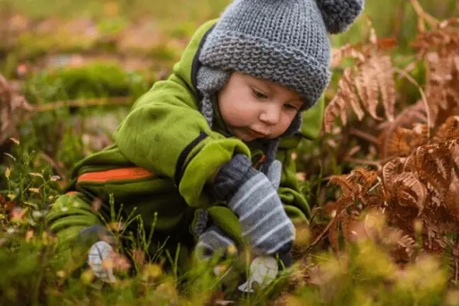 the great insect safari for kids 1