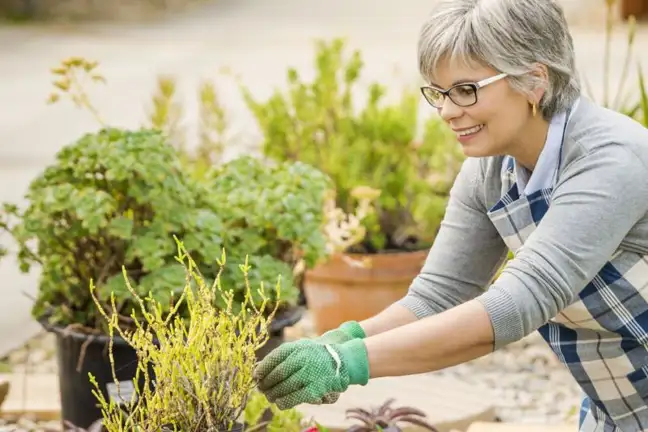 the happiness and health benefits of gardening 1