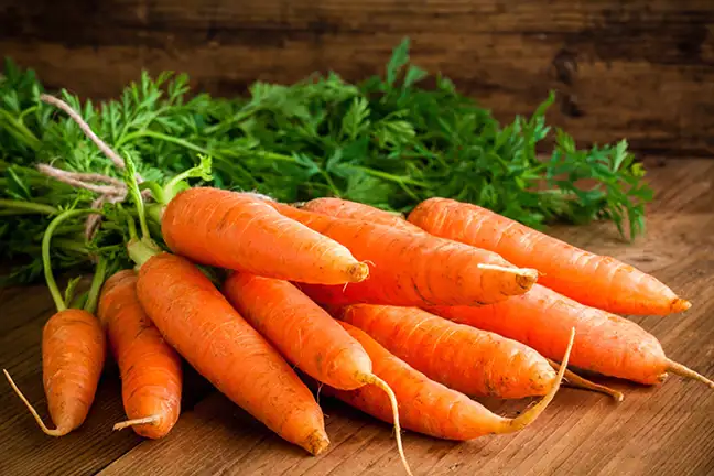 top 10 plants to grow with kids 2