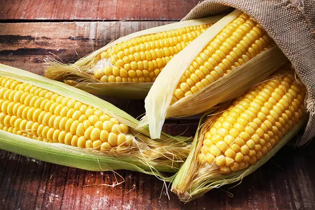 top 10 plants to grow with kids 4