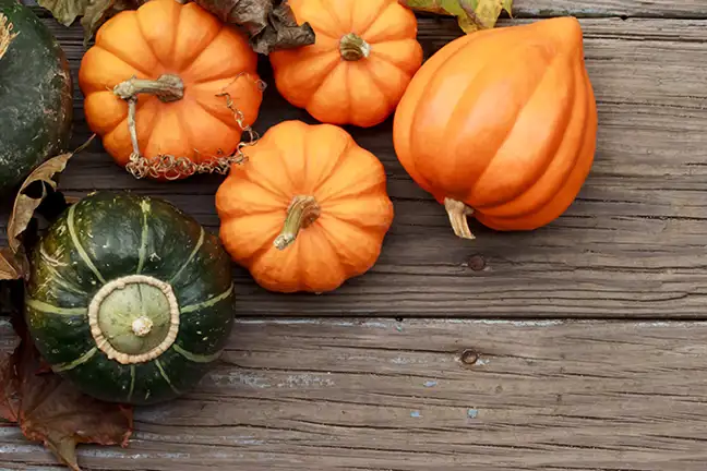 top 5 vegies acidic soil 2