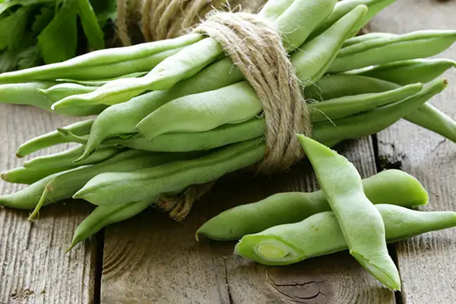 top 5 vegies acidic soil 4