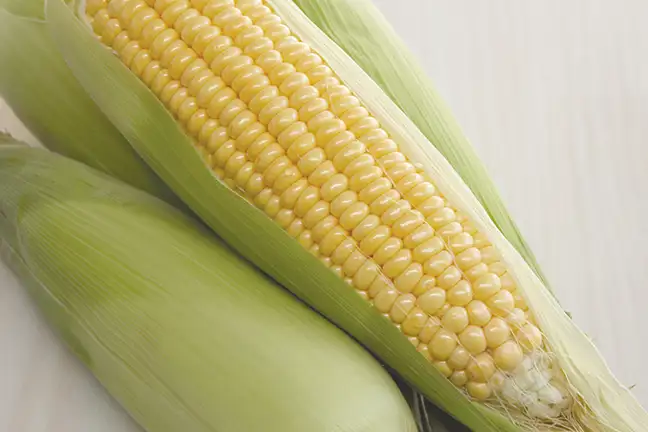 top 5 vegies acidic soil 5