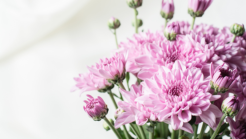 types of flowering plants 4