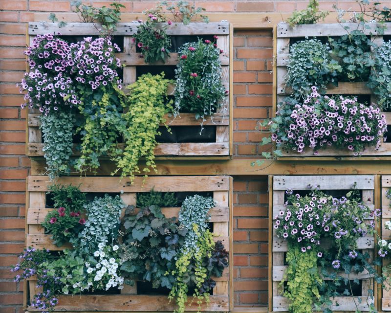 vertical gardens are in vogue 2