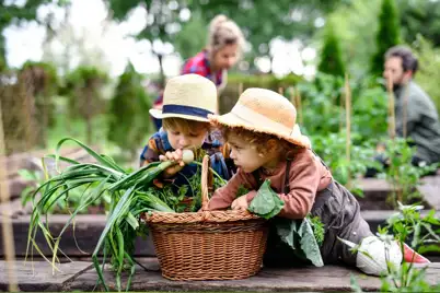 Organic gardening